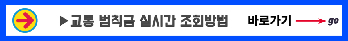 속도위반 범칙금 과태료 벌점 (3)